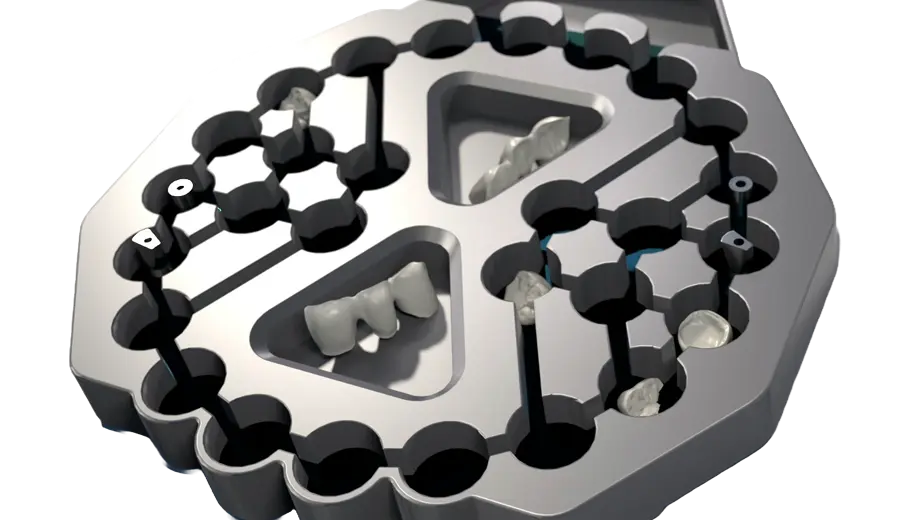 Clinical insights from Dintoid®